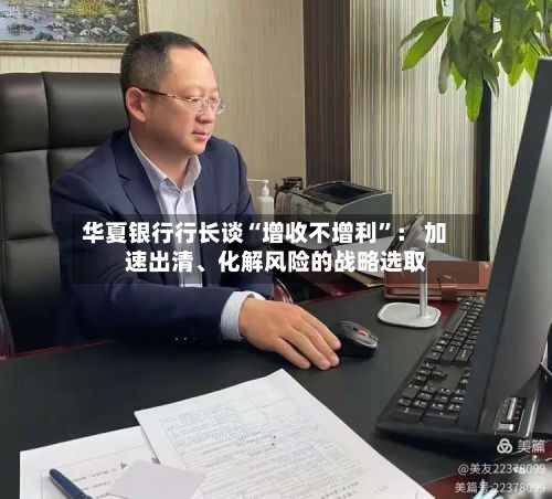 华夏银行行长谈“增收不增利”： 加速出清、化解风险的战略选取-第2张图片