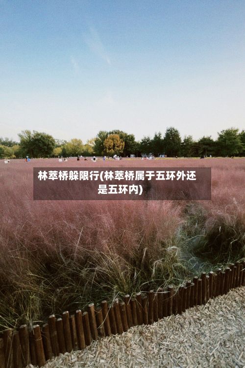 林萃桥躲限行(林萃桥属于五环外还是五环内)-第2张图片