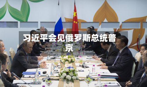 习近平会见俄罗斯总统普京-第3张图片