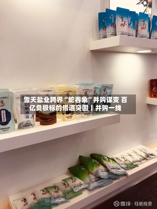 雪天盐业跨界“蛇吞象”并购谋变 百亿负极标的借道突围丨并购一线-第2张图片