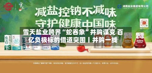 雪天盐业跨界“蛇吞象”并购谋变 百亿负极标的借道突围丨并购一线