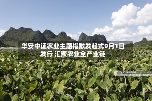 华安中证农业主题指数发起式9月1日发行 汇聚农业全产业链