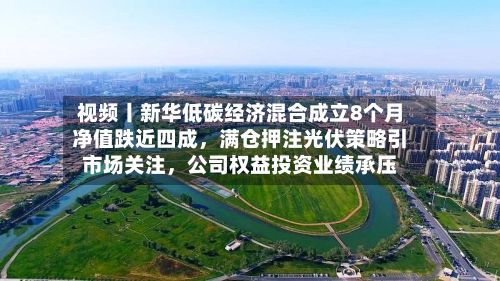 视频丨新华低碳经济混合成立8个月净值跌近四成，满仓押注光伏策略引市场关注	，公司权益投资业绩承压-第1张图片