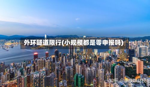 外环隧道限行(小规模都是零申报吗)