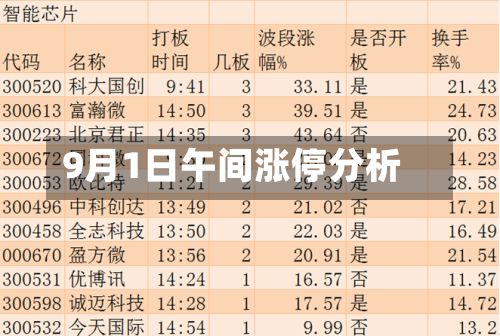 9月1日午间涨停分析