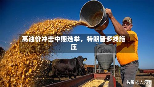 高油价冲击中期选举，特朗普多线施压-第2张图片
