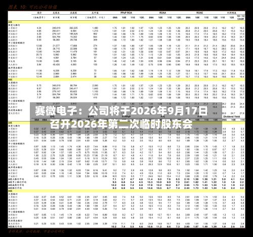 赛微电子：公司将于2026年9月17日召开2026年第二次临时股东会-第2张图片