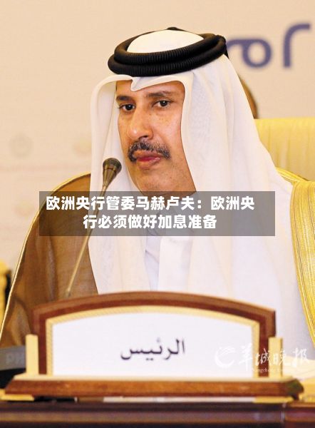 欧洲央行管委马赫卢夫：欧洲央行必须做好加息准备