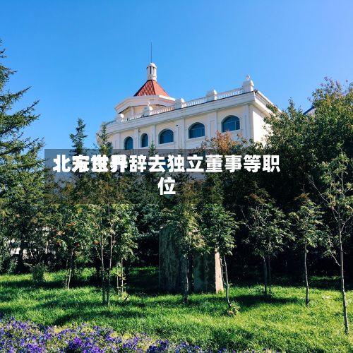 北方世界
:宋东升辞去独立董事等职位-第2张图片