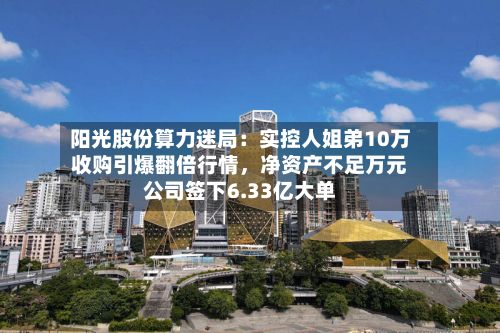 阳光股份算力迷局：实控人姐弟10万收购引爆翻倍行情，净资产不足万元公司签下6.33亿大单-第2张图片
