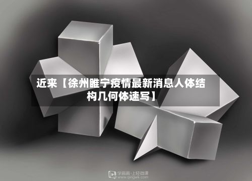 近来【徐州睢宁疫情最新消息人体结构几何体速写】-第3张图片