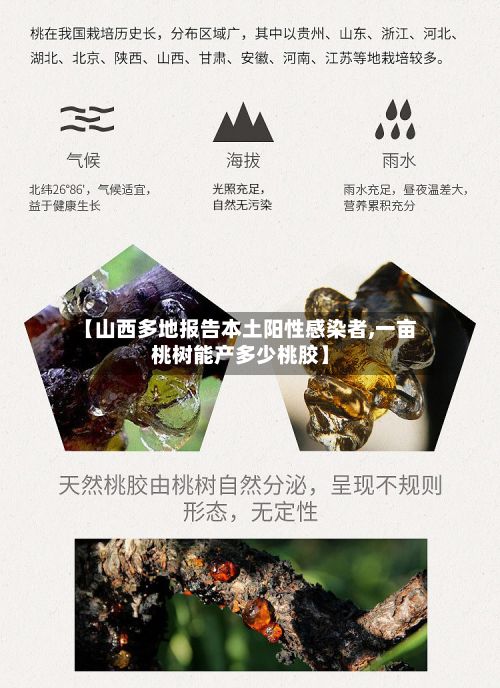 【山西多地报告本土阳性感染者,一亩桃树能产多少桃胶】