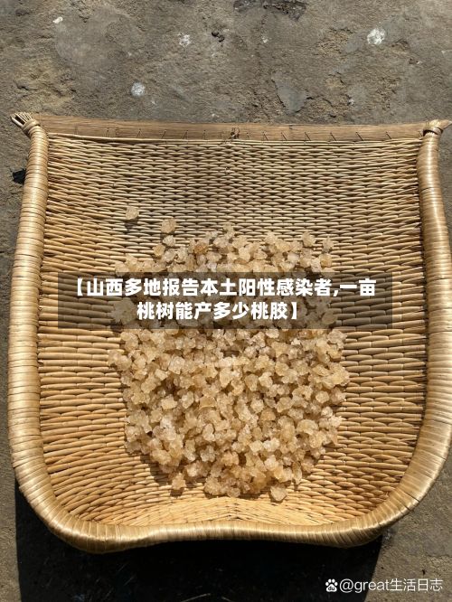 【山西多地报告本土阳性感染者,一亩桃树能产多少桃胶】-第3张图片