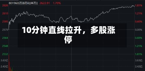 10分钟直线拉升，多股涨停