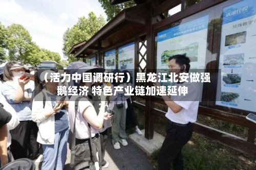 (活力中国调研行)黑龙江北安做强鹅经济 特色产业链加速延伸