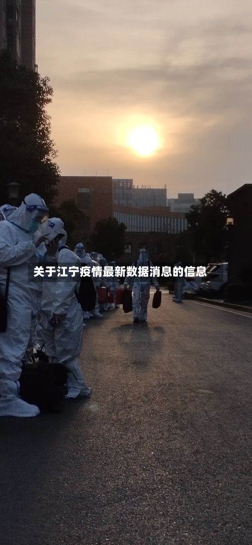 关于江宁疫情最新数据消息的信息