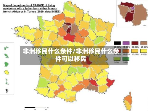 非洲移民什么条件/非洲移民什么条件可以移民-第3张图片