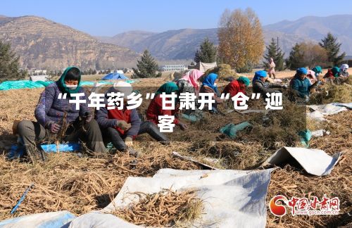 “千年药乡	”甘肃开“仓”迎客-第3张图片