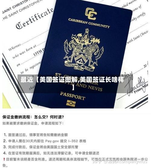 最近【美国签证图解,美国签证长啥样】