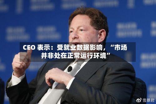CEO 表示:受就业数据影响,“市场并非处在正常运行环境”