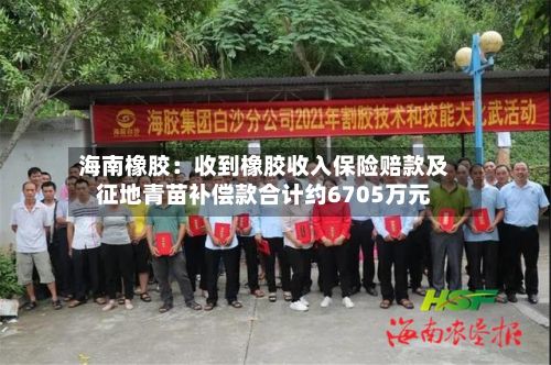 海南橡胶:收到橡胶收入保险赔款及征地青苗补偿款合计约6705万元-第3张图片