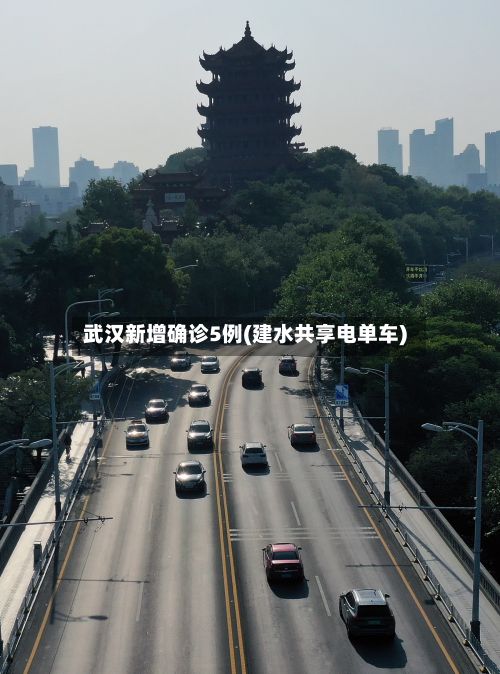 武汉新增确诊5例(建水共享电单车)