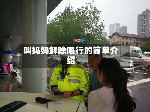 叫妈妈解除限行的简单介绍-第2张图片