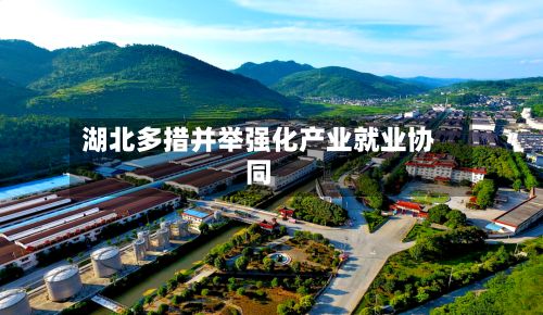 湖北多措并举强化产业就业协同-第2张图片