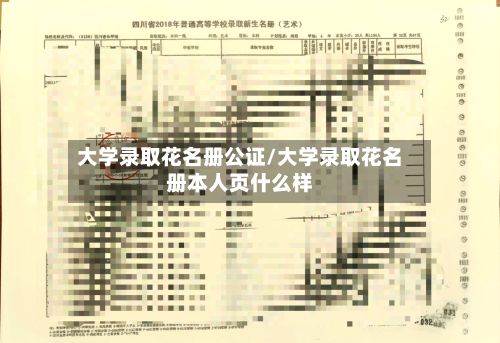 大学录取花名册公证/大学录取花名册本人页什么样