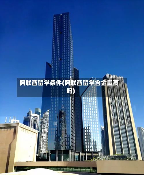 阿联酋留学条件(阿联酋留学含金量高吗)