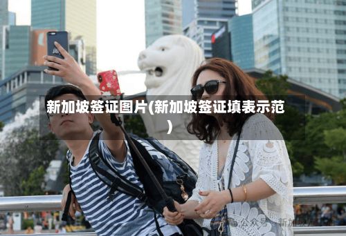 新加坡签证图片(新加坡签证填表示范)-第3张图片