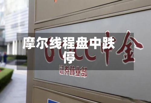 摩尔线程盘中跌停-第2张图片