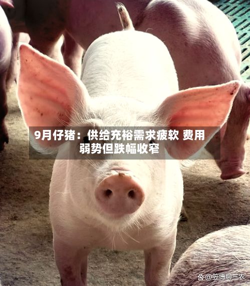 9月仔猪:供给充裕需求疲软 费用
弱势但跌幅收窄-第2张图片