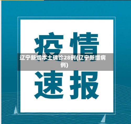 辽宁新增本土确诊28例(辽宁新增病例)