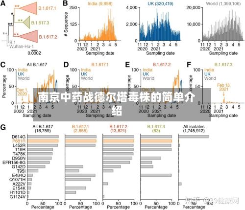 南京中药战德尔塔毒株的简单介绍