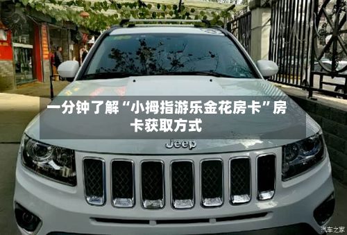 一分钟了解“小拇指游乐金花房卡”房卡获取方式-第3张图片