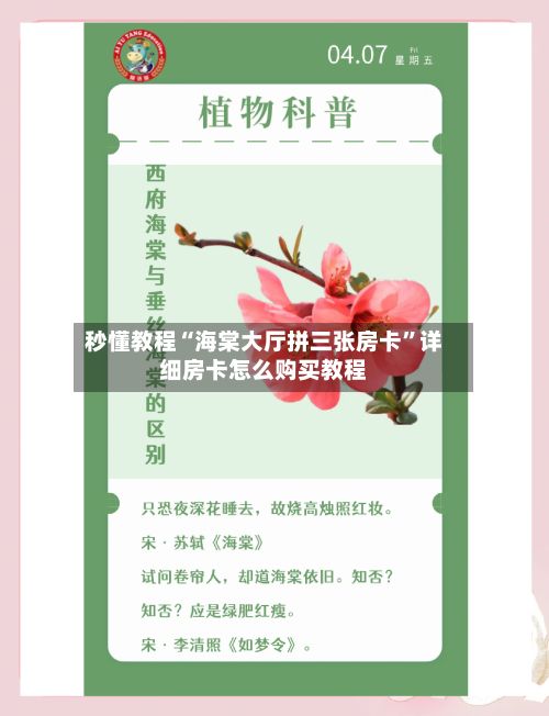 秒懂教程“海棠大厅拼三张房卡”详细房卡怎么购买教程
