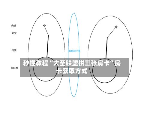 秒懂教程“大圣联盟拼三张房卡”房卡获取方式-第2张图片