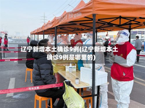 辽宁新增本土确诊9例(辽宁新增本土确诊9例是哪里的)