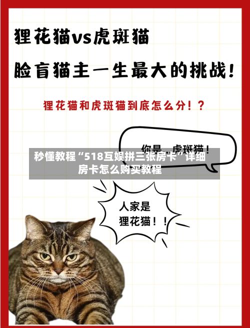 秒懂教程“518互娱拼三张房卡”详细房卡怎么购买教程