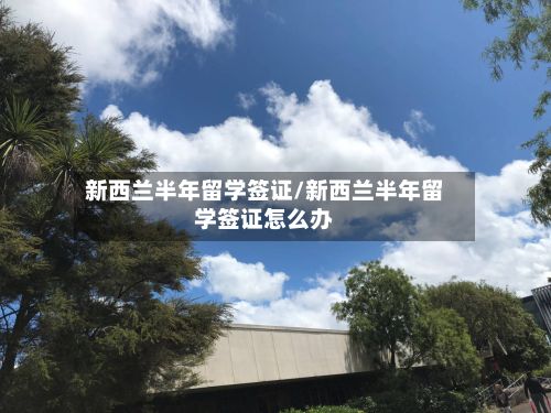 新西兰半年留学签证/新西兰半年留学签证怎么办