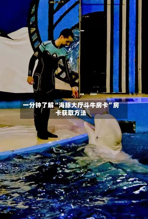 一分钟了解“海豚大厅斗牛房卡”房卡获取方法
