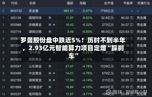 罗曼股份盘中跌近5%！历时不到半年，2.93亿元智能算力项目定增“踩刹车”-第3张图片