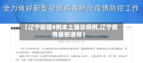 【辽宁新增4例本土确诊病例,辽宁疫情最新通报】-第2张图片
