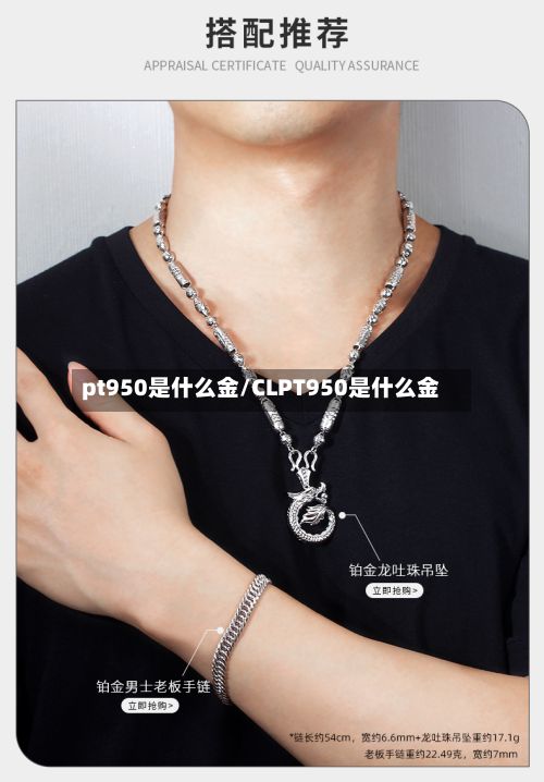 pt950是什么金/CLPT950是什么金