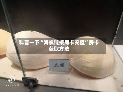 科普一下“海螺链接房卡充值”房卡获取方法-第2张图片