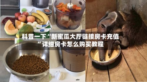 科普一下“新蜜瓜大厅链接房卡充值”详细房卡怎么购买教程-第2张图片