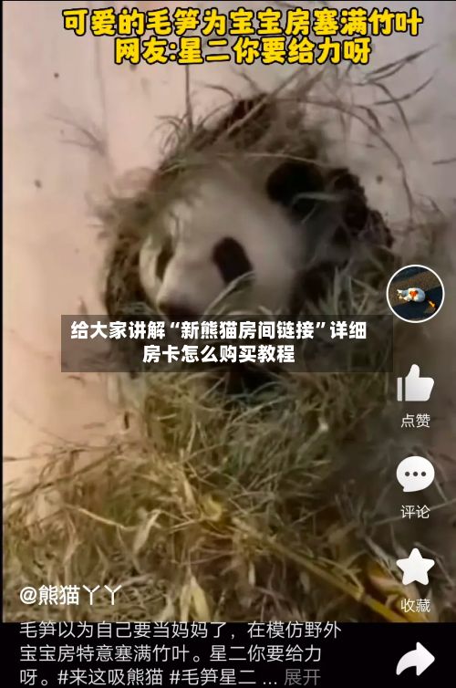 给大家讲解“新熊猫房间链接”详细房卡怎么购买教程-第3张图片