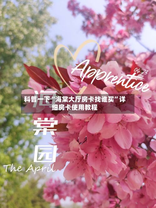 科普一下“海棠大厅房卡找谁买”详细房卡使用教程-第2张图片