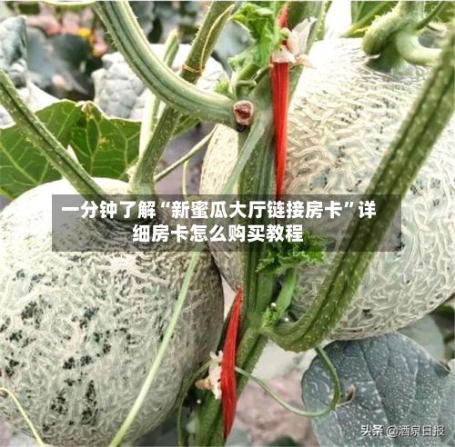 一分钟了解“新蜜瓜大厅链接房卡”详细房卡怎么购买教程-第2张图片